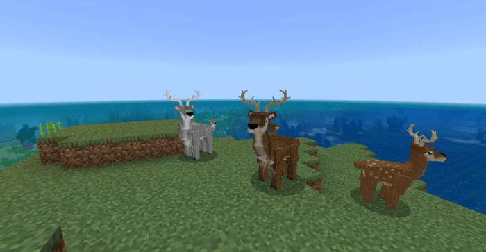 Deers: Screenshot