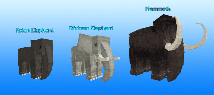 Elephant Types