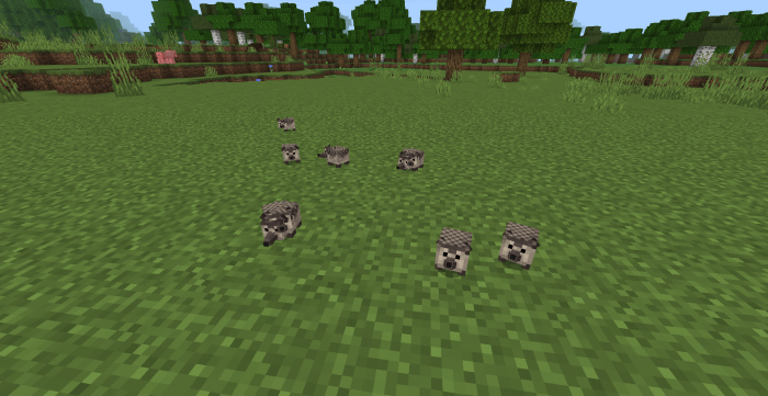 Hedgehogs: Screenshot