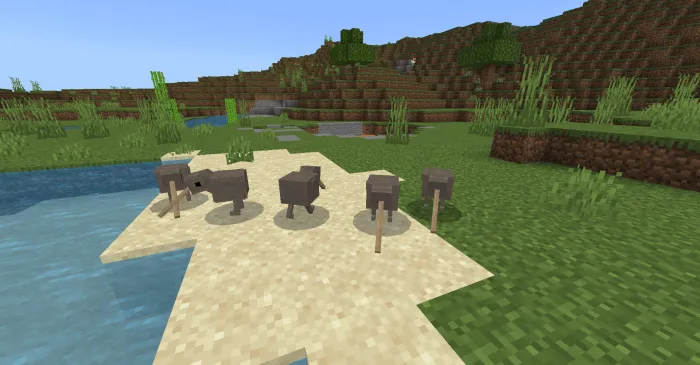 Kiwis: Screenshot