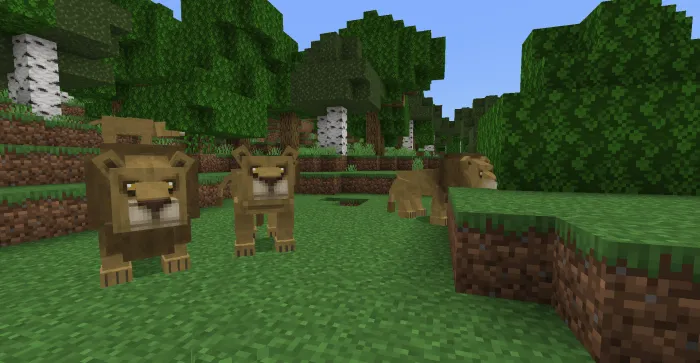 Lions: Screenshot 1