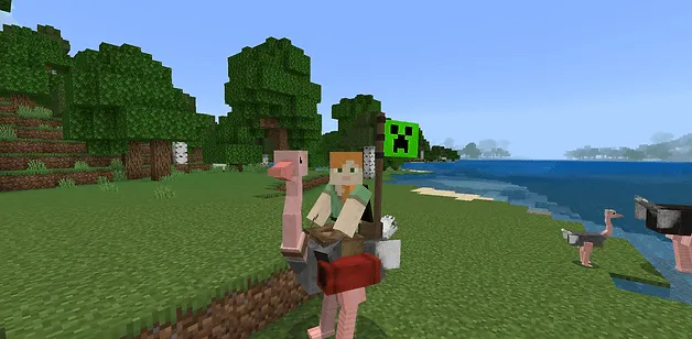 Ostrich Saddle and Flag: Screenshot