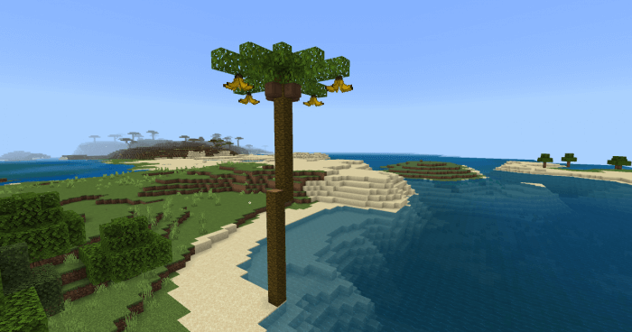Palm Tree: Screenshot 2