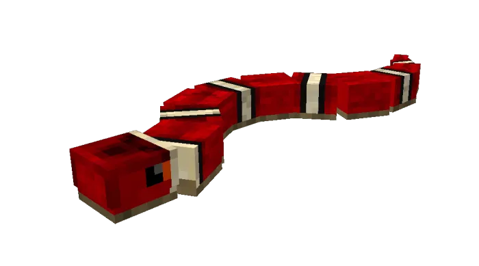 Scarlet King Snake