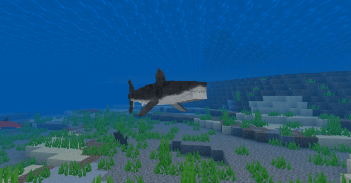 White Shark: Screenshot