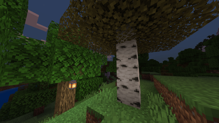 Better Birch Leaves: Screenshot 1