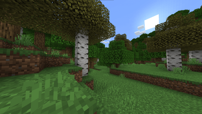 Better Birch Leaves: Screenshot 5