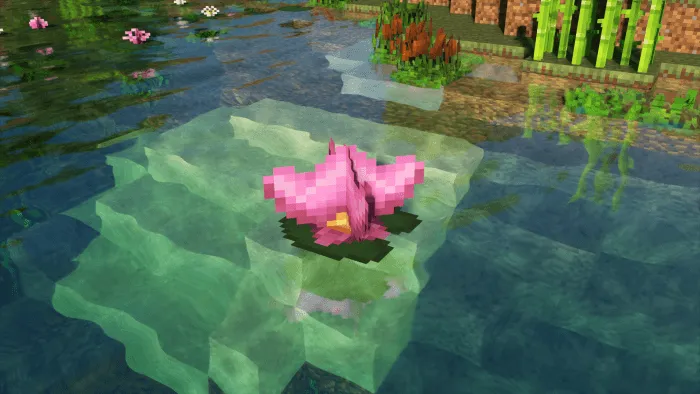 Giant Lilypad
