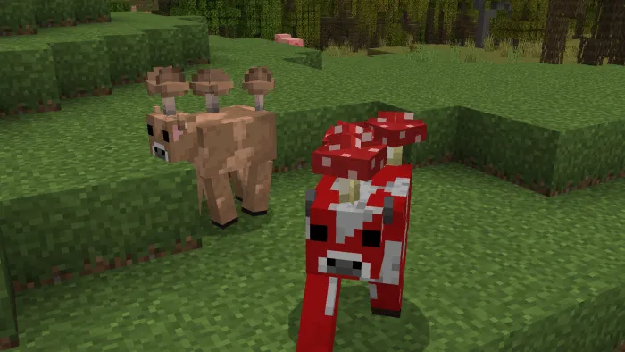 Mooshroom Cows