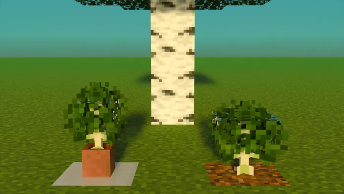 Birch Saplings: Screenshot
