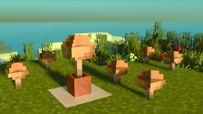 Brown Mushrooms: Screenshot