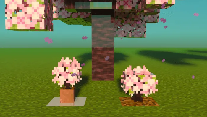 Cherry Saplings: Screenshot