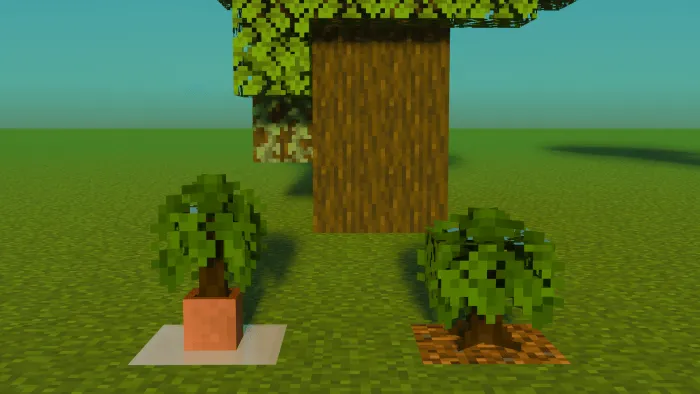 Dark Oak Saplings: Screenshot