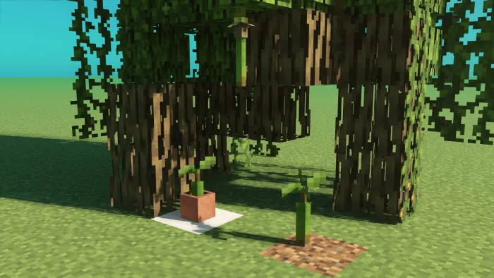 Mangrove Saplings and Propagules: Screenshot