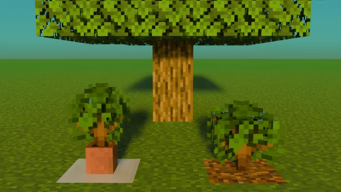 Oak Saplings: Screenshot