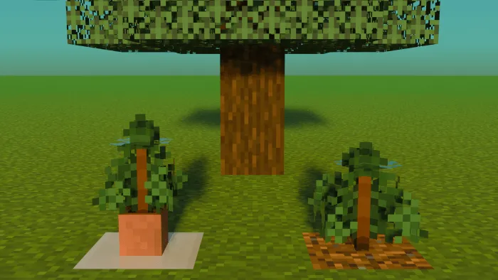 Spruce Saplings: Screenshot
