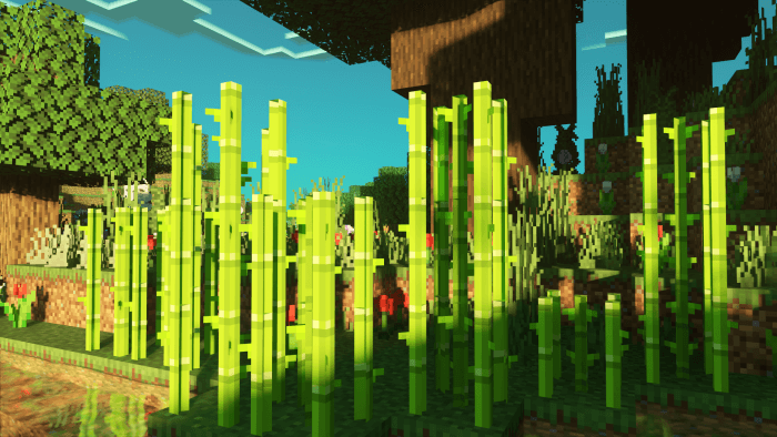 3D Sugar Canes: Screenshot