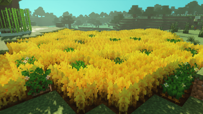 Golden Wheat: Screenshot