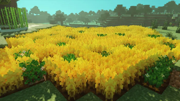 Golden Wheat: Screenshot