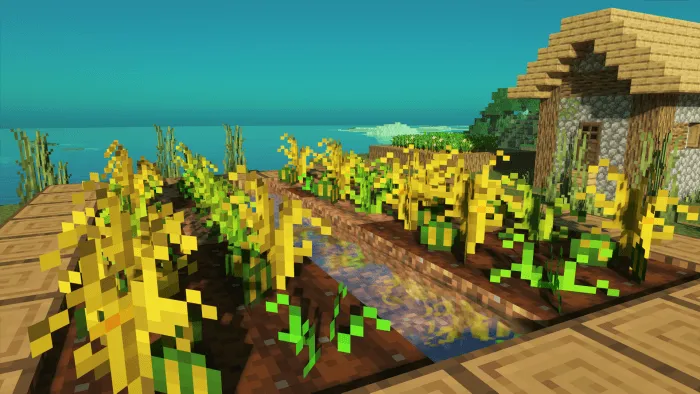 Melons: Screenshot
