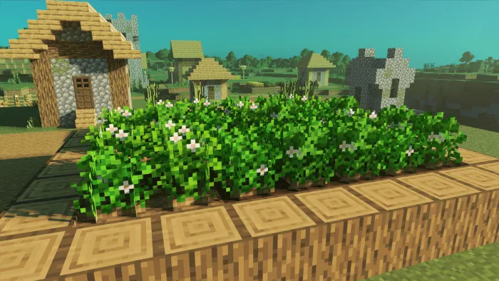 Potatoes: Screenshot