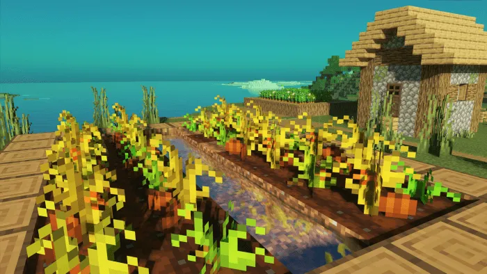 Pumpkins: Screenshot