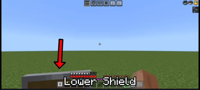 Lower Shield