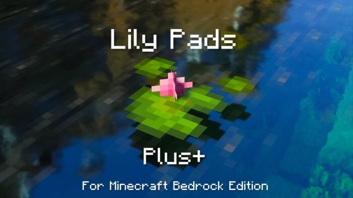 Lily Pads Plus Banner
