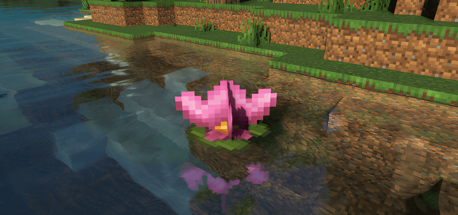 Thumbnail: Lily Pads Plus+ | The Giant Lily Pad Update!