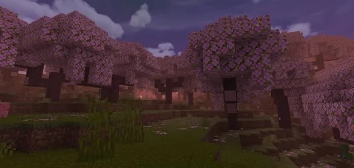 HyRD Enhanced Graphics: Screenshot 1