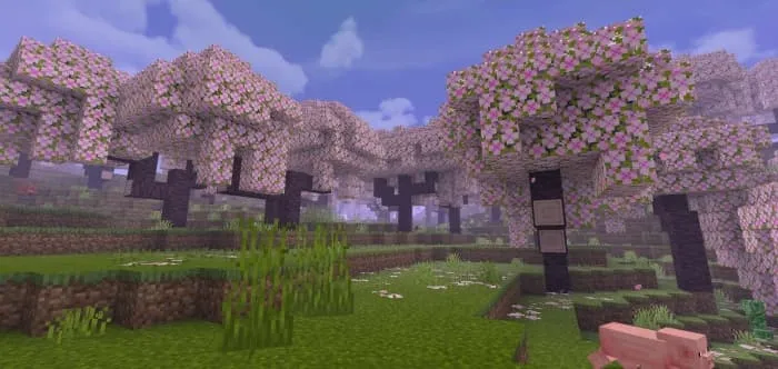 HyRD Enhanced Graphics: Screenshot 5