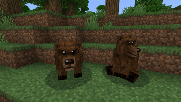 Grizzly Bears Variants