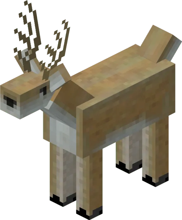 Male Deer