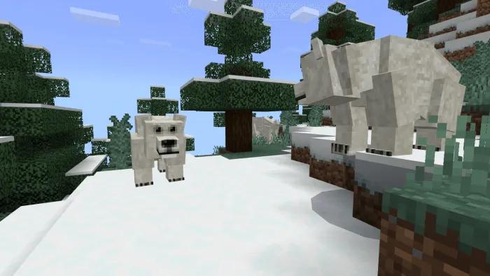 Polar Bears Variants