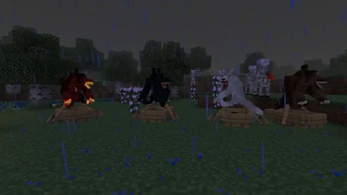 Werewolf Wolf Variants