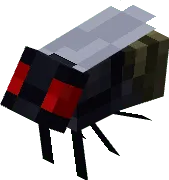Fly