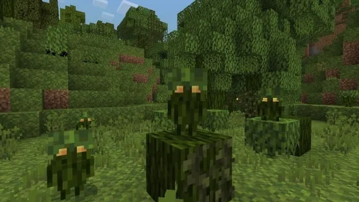 Mossy Troot