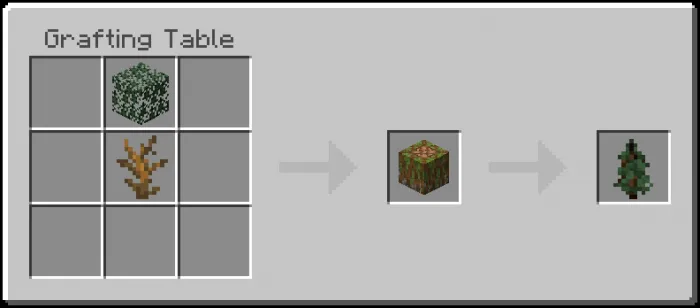 Sapling Recipe (Variant 2)