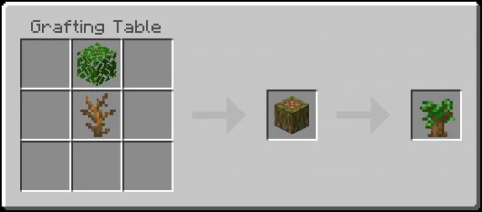 Sapling Recipe (Variant 6)