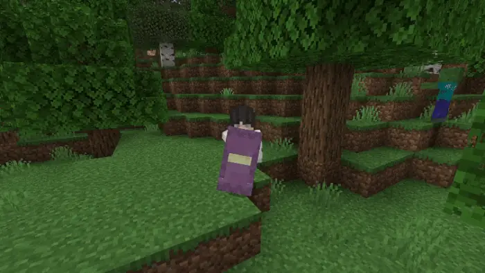 Shulker Shield Demonstration