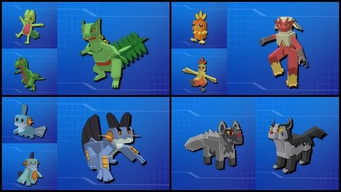 Treecko, Torchic, Mudkip and Poochyena