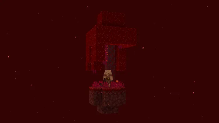 Skyblock: Crimson Forest Biome