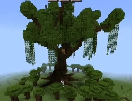 Big Tree