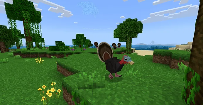 Turkey: Screenshot