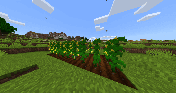 Minecraft's Better Adventures - The Farming Update: Screenshot 25