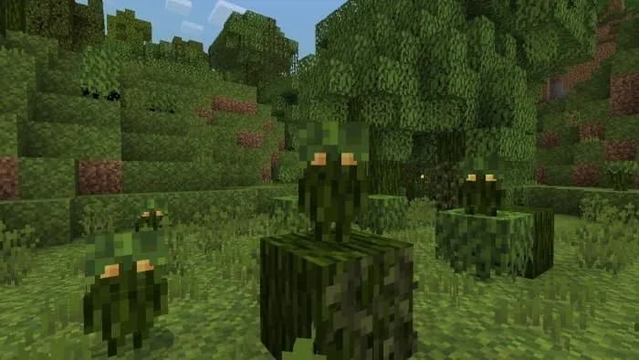 Mossy Troot