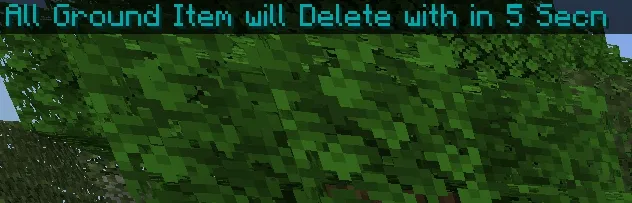 All Ground Items will Delete