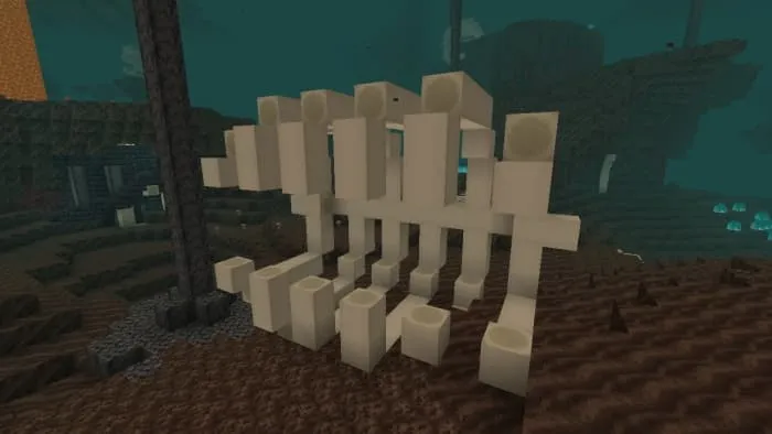Giant Fossil