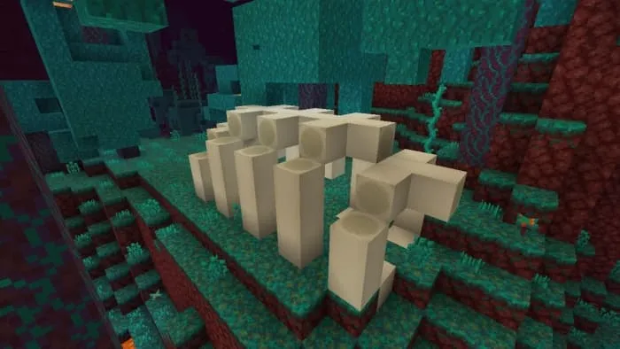 Large Fossil