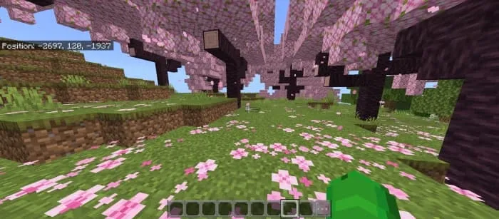 Better Hotbar: Screenshot in the Overworld